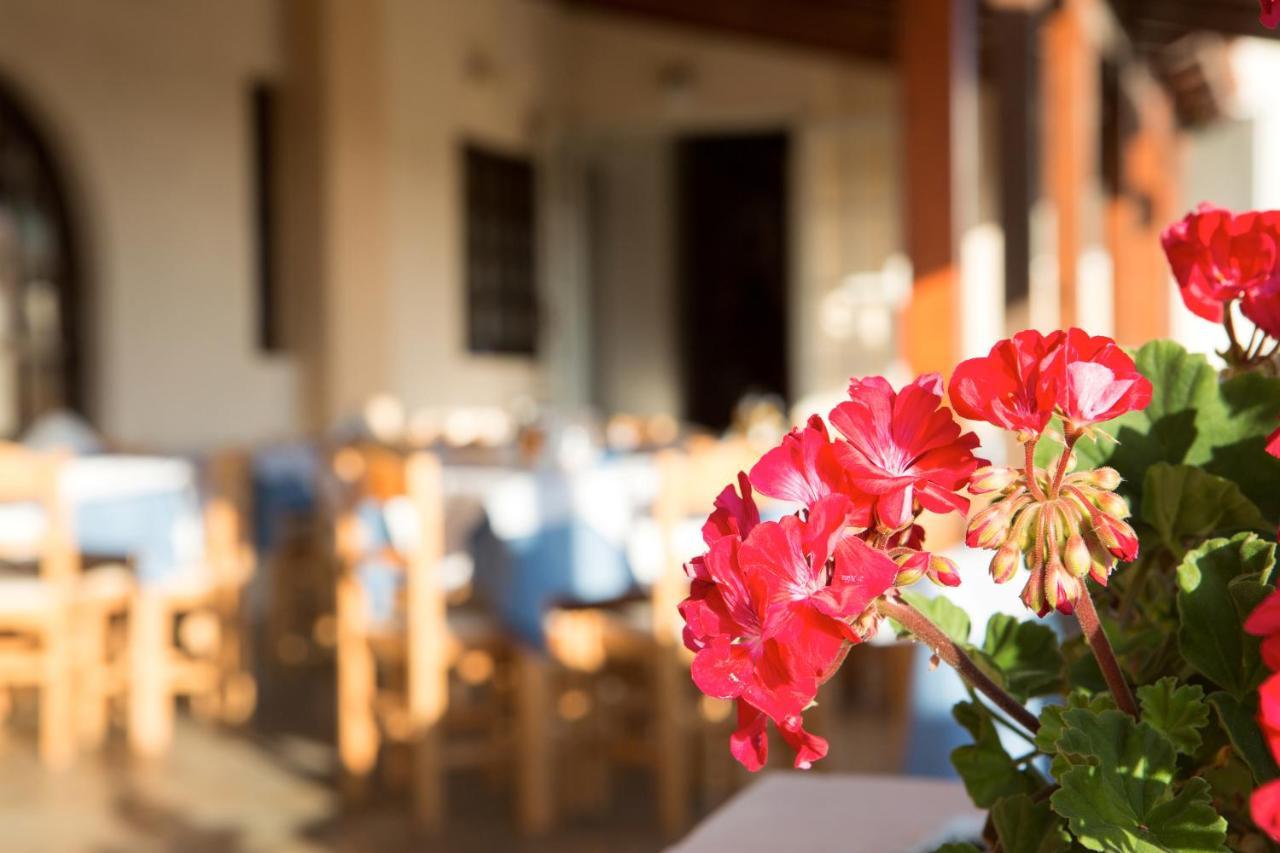 Albatross Hotel Maleme Dış mekan fotoğraf